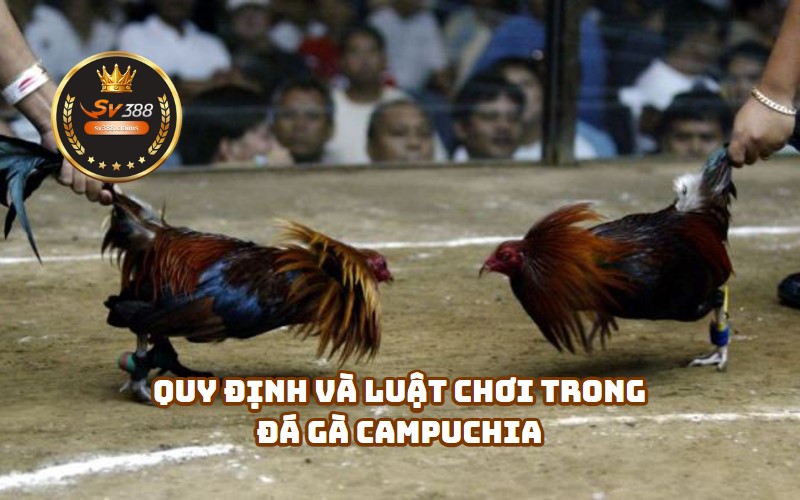 Đá gà Campuchia tại nhà cái hàng đầu SV388