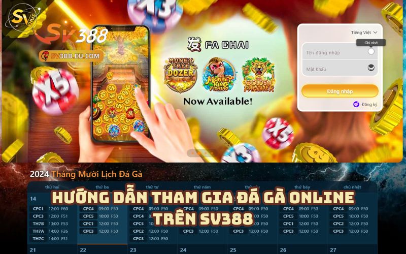 Hướng Dẫn Tham Gia Đá Gà Online Trên SV388